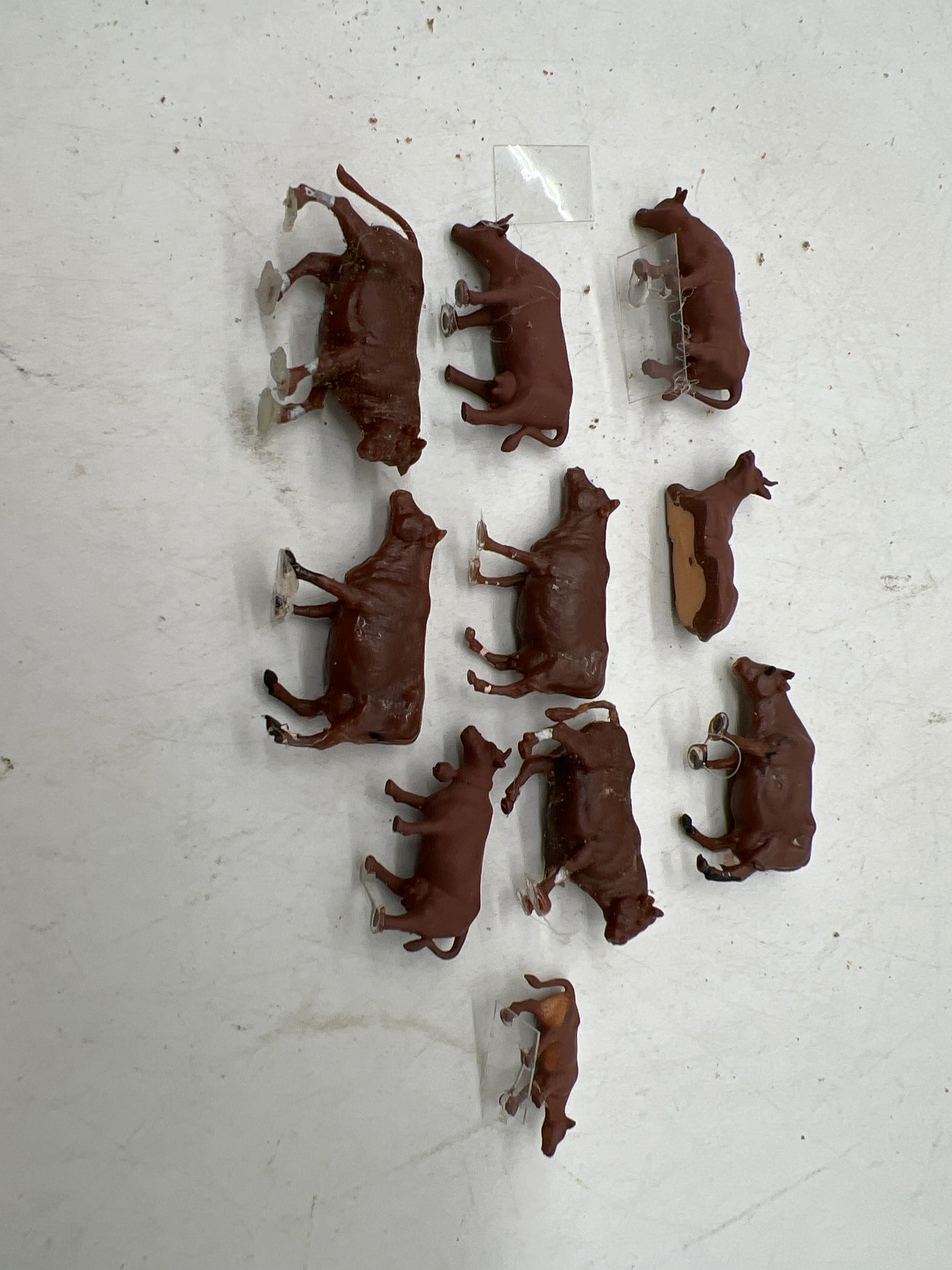 HOFIGURES BROWN COWS PACK 5 HO SCALE Used No Box