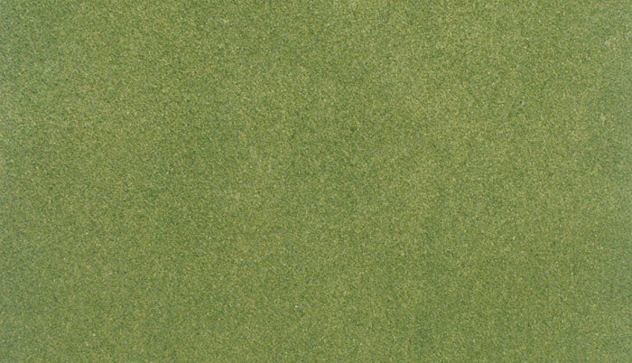 Woodland Scenics RG5121 Spring Green Grass Roll O SCALE NEW