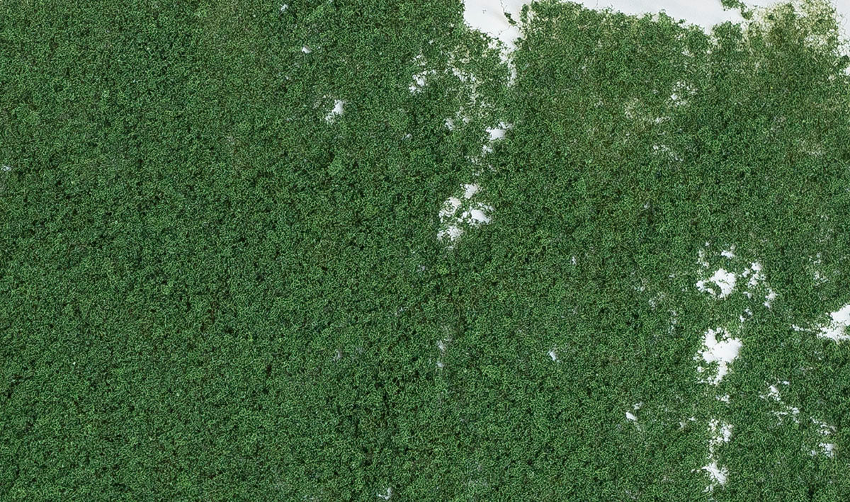 Woodland Scenics WDS F53 WDS53 Foliage Dark Green NEW