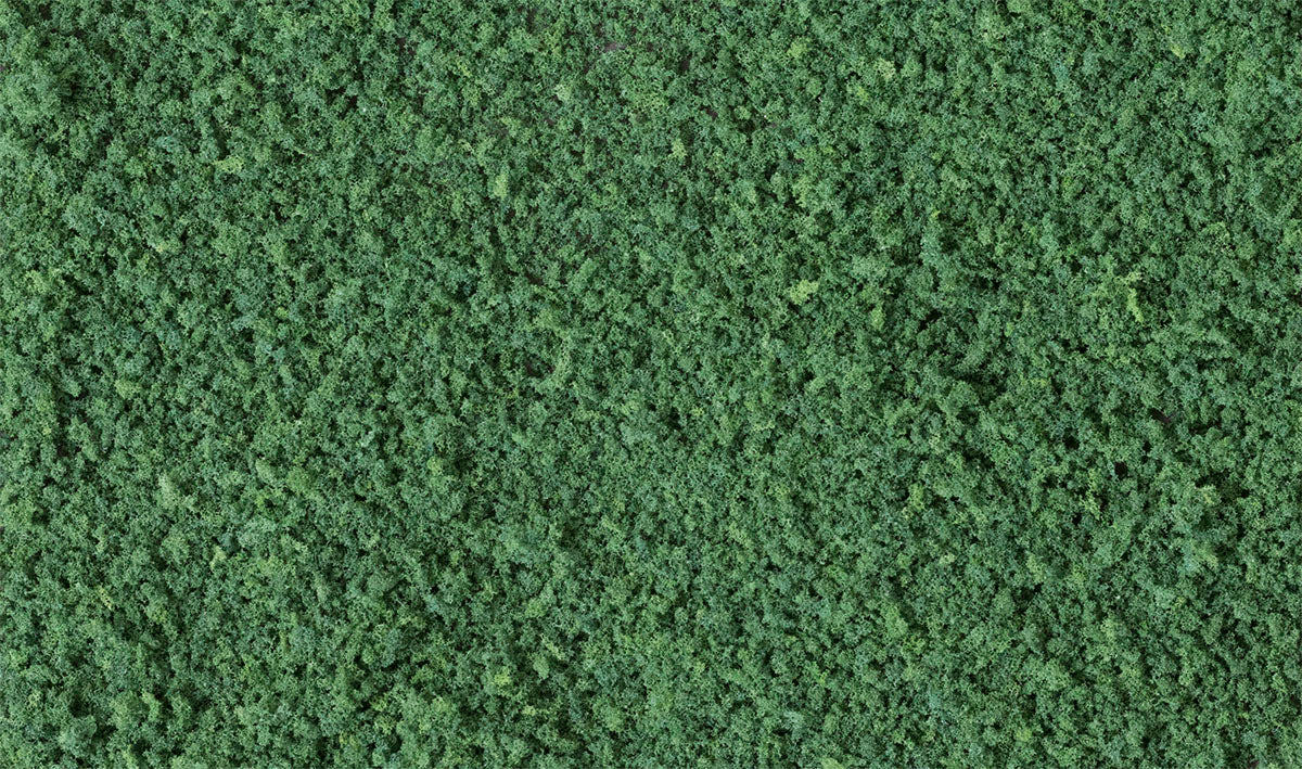 Woodland Scenics WDS T65 WDS65 Coarse Turf Dark Green Bag NEW