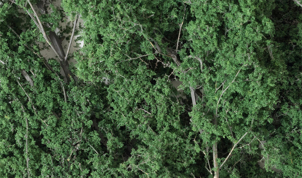 Woodland Scenics WDS1130 Fine-Leaf Foliage Dark Green - Image 2